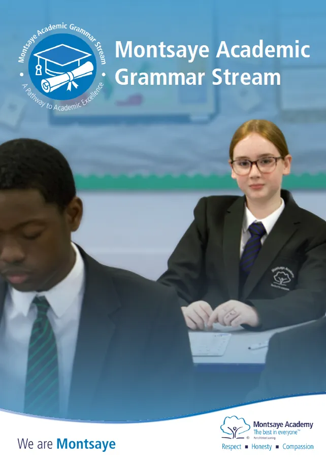 Grammar Stream